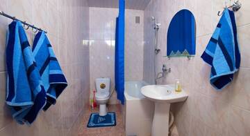 Фото Гостиница Guest house Albatros г. Бетта 3